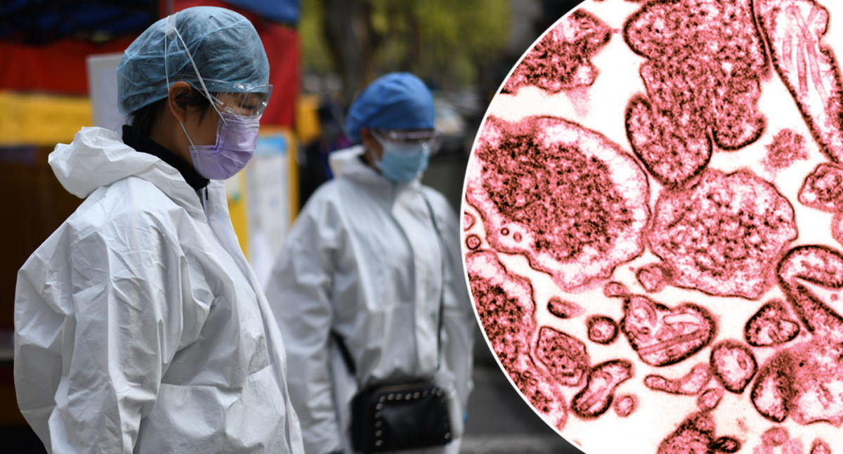 What is HMVP virus, Chinas recent 'Covid-like outbreak', should